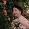 尘鹿不姓陈