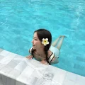 韩国睿知
