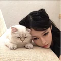 鱼喻Rose