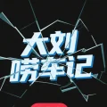大刘唠车记