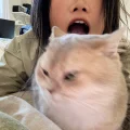 咬金三百斤