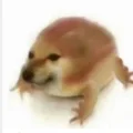 狗泥几蛙