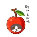 樱桃是只猫🍒