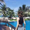 中华巨蟹