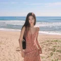 谈苏慧