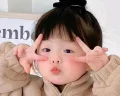 芋头不爱吃香菜