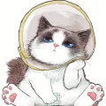 懒懒宅