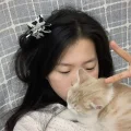芸芸超幸福