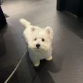 小梅的草稿箱