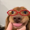 WhAtIsRaynaDoinG