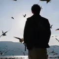 好话