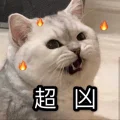 幼儿园老大