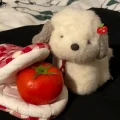 小陈番茄