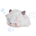 柚一一の开箱