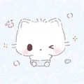 恰恰开箱日记