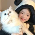 流心芋泥包