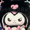 小猫寿司日记