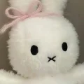 呆豆Liyi