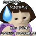 Mikrokosmos（朵拉