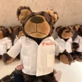 满分雅思老师amyloidosis