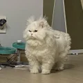 大晗同学