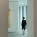 晨枫