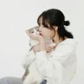 女明星的日常穿搭合集