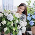 麦麦妈Abby