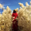 二宝baba爱分享