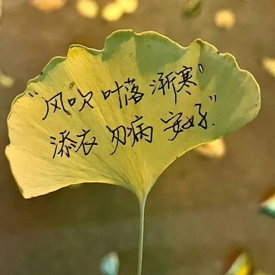 潼潼