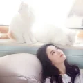 夏悠ice
