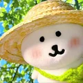 小厘的厘（内双版）