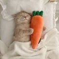 小七七七七