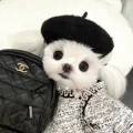 叫我钞票姐