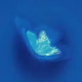 星间小梨涡