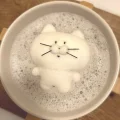 种一棵汉堡树