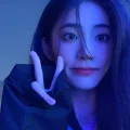 大概是只考拉