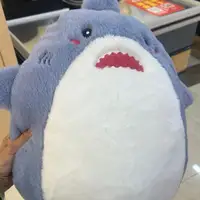 暴龍先生