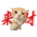 干锅咸鱼