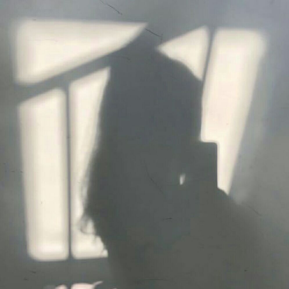 風輕杏花香
