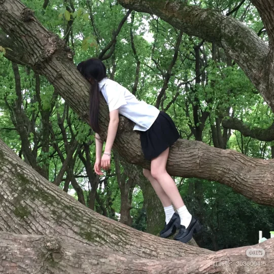 生活梦想家🌲（装修中）