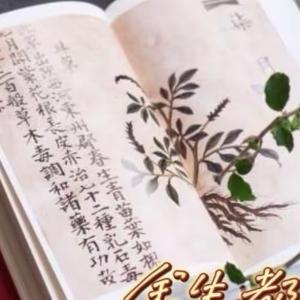 暂停 一下