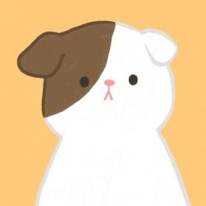 小趣味资息
