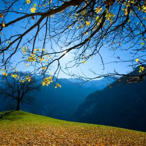 新旅游码头