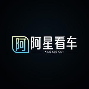 阿星看车