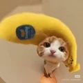三阿哥又長高了