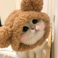 芝士觀察日記