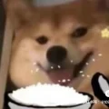 吃辣吃辣