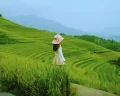 花籽