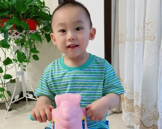 小米蜂